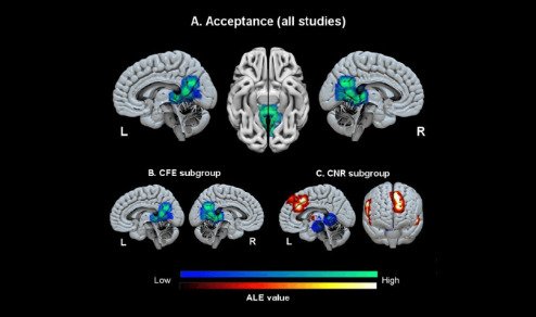 El síndrome moderno de la amígdala hiper-estimulada.